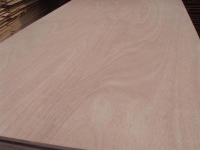 Commercial plywood