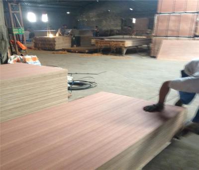 Commercial plywood